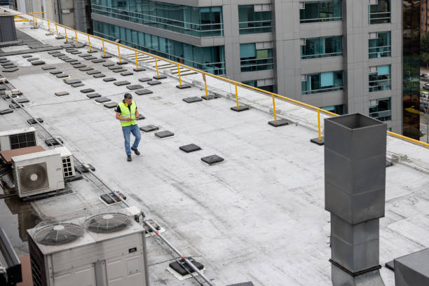 Best Metal Roofing Installation  in Fort Denaud, FL