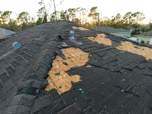 Best Rubber Roofing (EPDM, TPO)  in Fort Denaud, FL