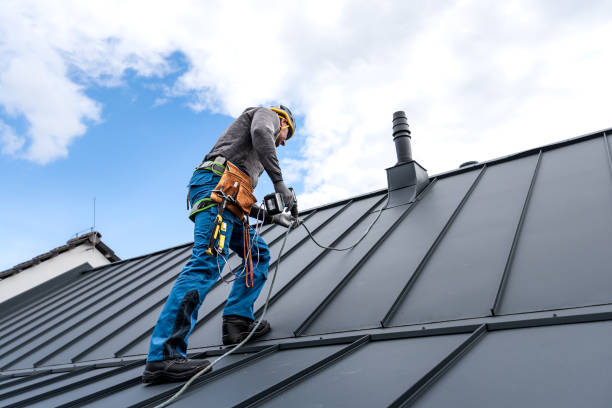 Best Chimney Flashing Repair  in Fort Denaud, FL